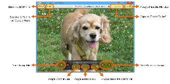 Image 1 for Honeyview