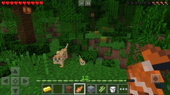 Image 5 for Minecraft