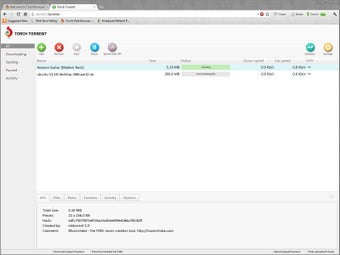 Image 2 for Torch Browser