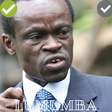 Icon of program: PLO Lumumba