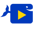 Icon of program: Video Downloader HD