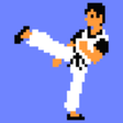 Icon of program: Kungfu NES