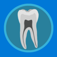 Icono de programa: Dental Corpus Anatomy for…