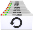 Icon of program: FileGoBack