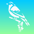 Icon of program: Bird Calls: SoundBoards o…