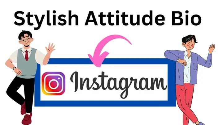Instagram Bio for Boys attitude